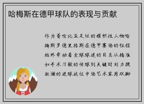 哈梅斯在德甲球队的表现与贡献